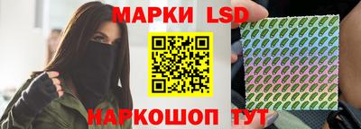 стафф Гатчина