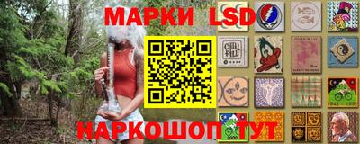 стафф Гатчина