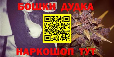 стафф Гатчина