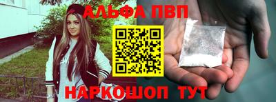 стафф Гатчина