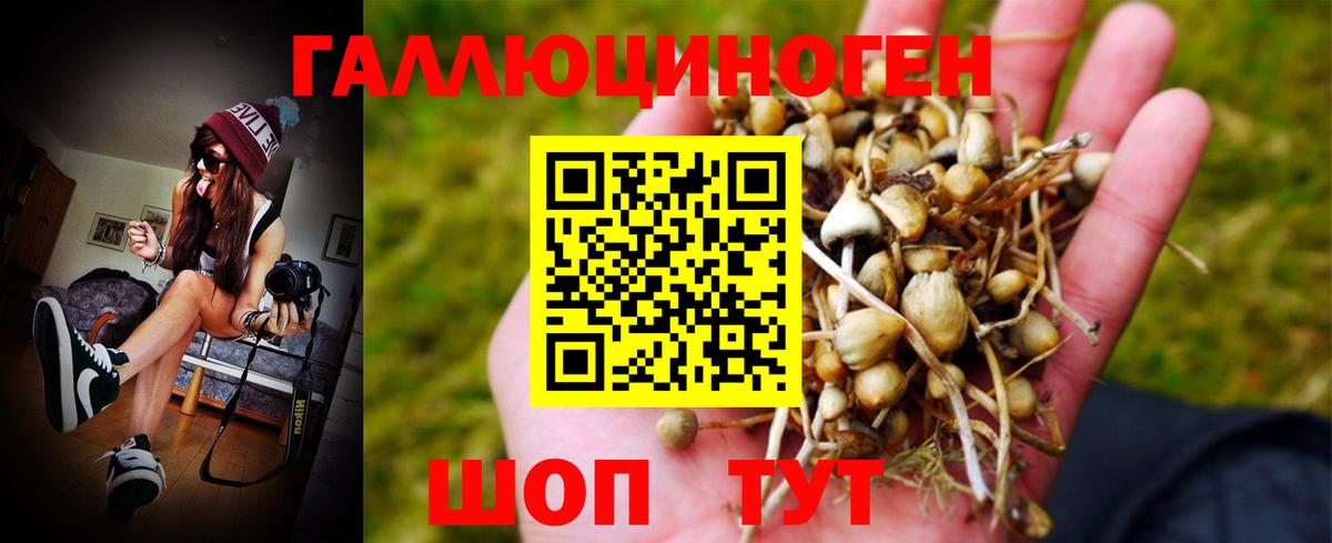Галлюциногенные грибы Psilocybe  Вход с VPN  Нерюнгри 